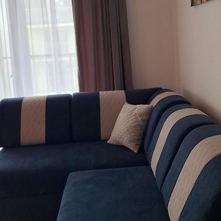 Apartament Grey Polana Szaflarska ノヴィ・タルク エクステリア 写真