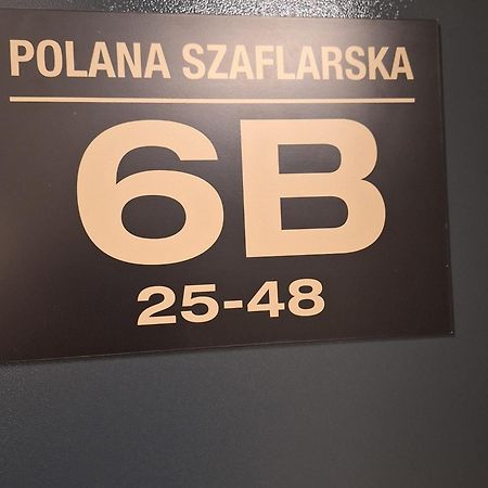Apartament Grey Polana Szaflarska ノヴィ・タルク エクステリア 写真