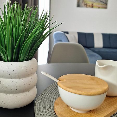 Apartament Grey Polana Szaflarska ノヴィ・タルク エクステリア 写真