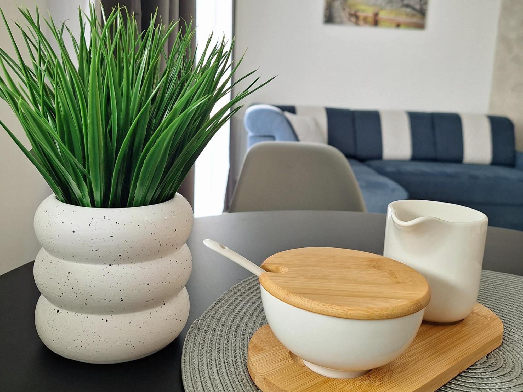 Apartament Grey Polana Szaflarska ノヴィ・タルク エクステリア 写真