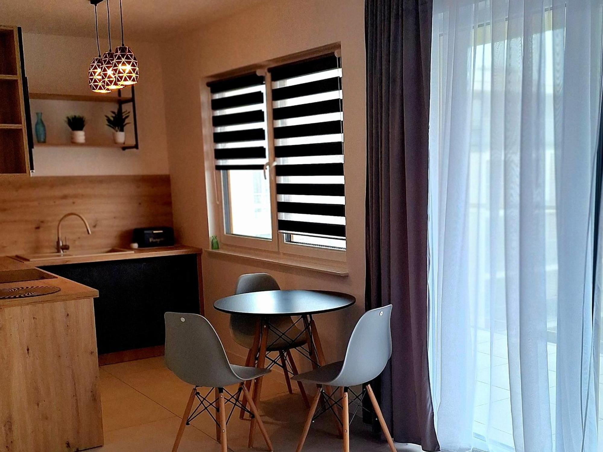 Apartament Grey Polana Szaflarska ノヴィ・タルク エクステリア 写真